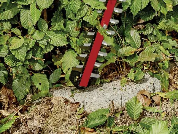 ARCURRA Cordless Hedge Trimmer 18/55 [Battery Optional]