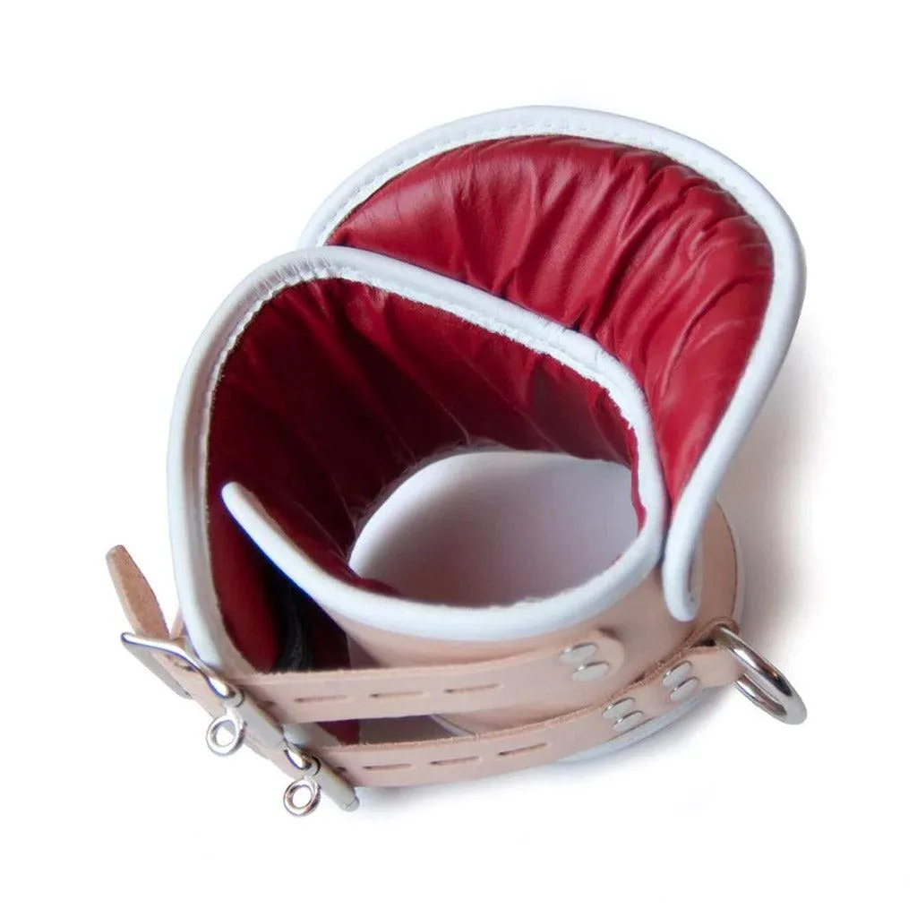 Deluxe Padded Medical Posture Collar
