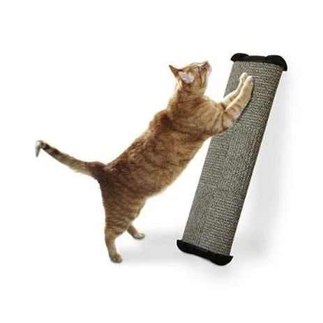 Omega Paw Lean it Anywhere Scratching Posts