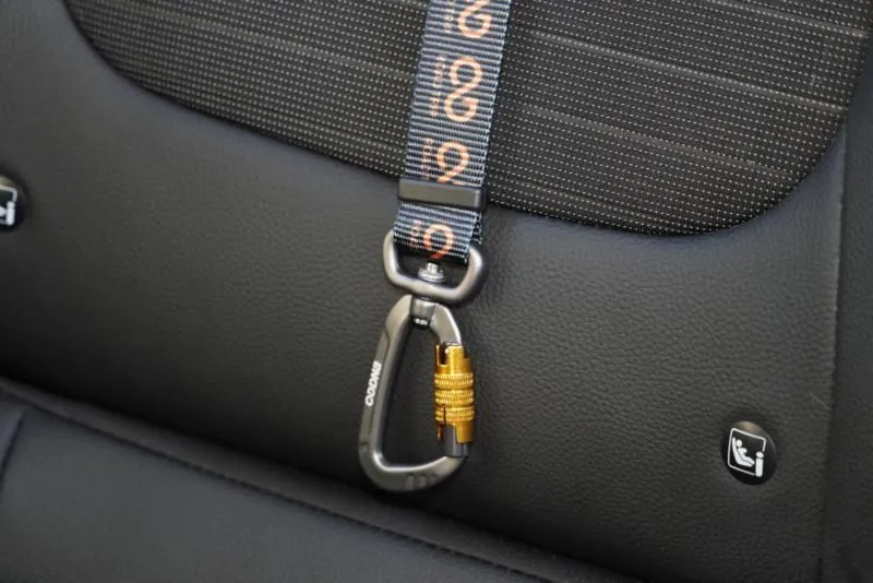 Road Trip Head Rest Tether