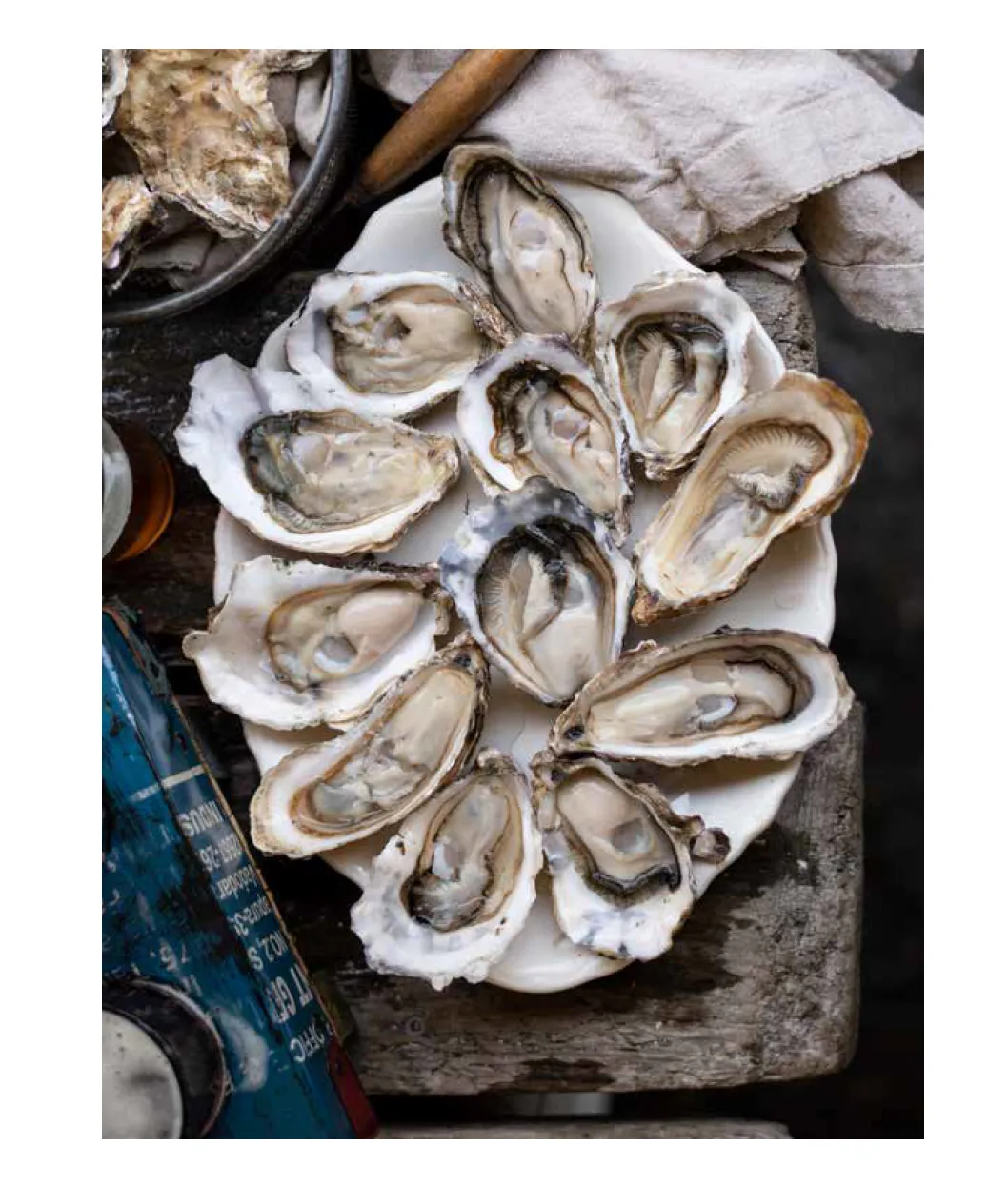 The Salmon Sisters: Feasting, Fishing and Living in Alaska